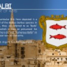 The BALBI coat of arms