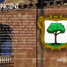 The BENCINI coat of arms